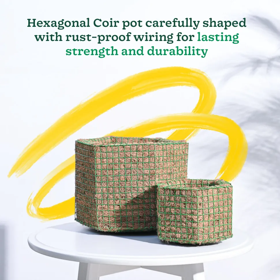 Hexa Coir Planter - Set of 2