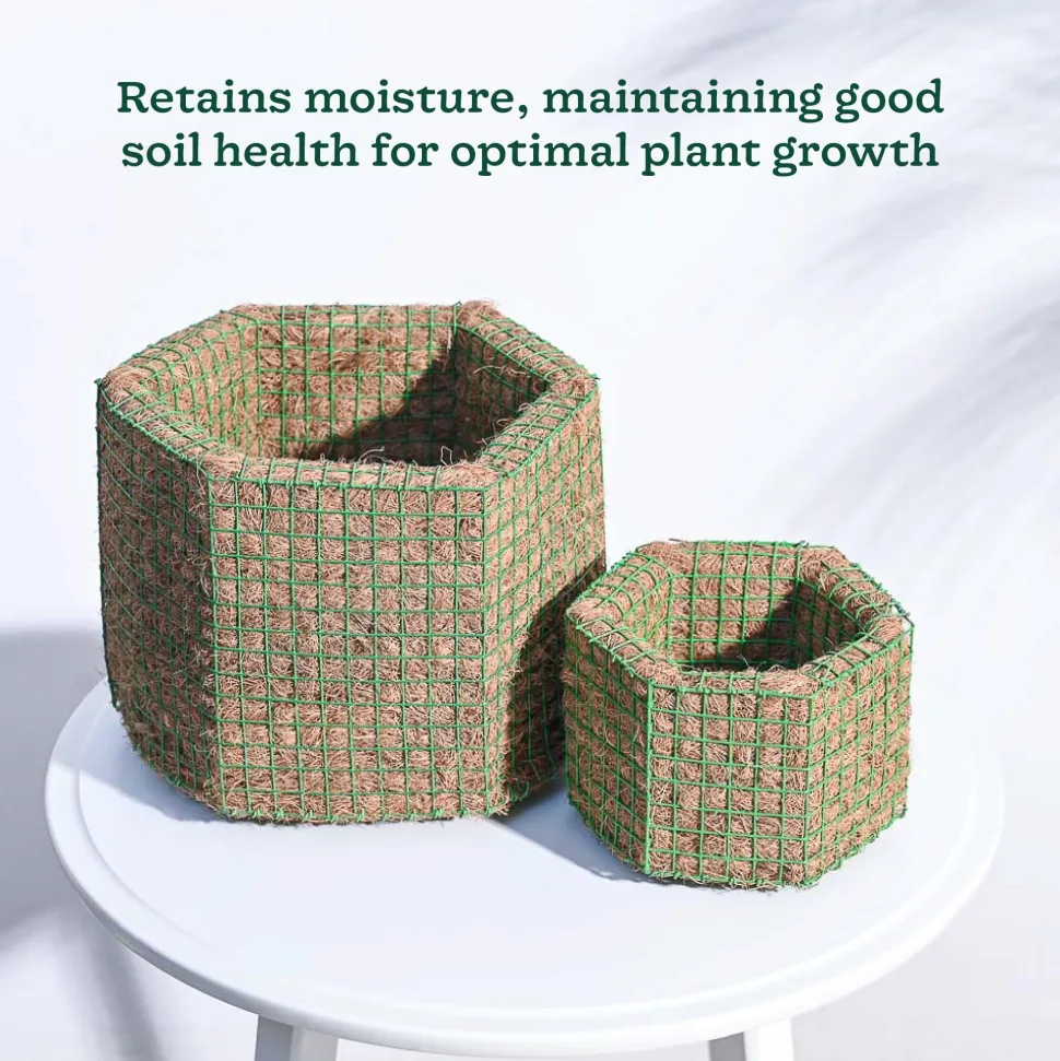 Hexa Coir Planter - Set of 2