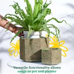 Hexa Coir Planter - Set of 2