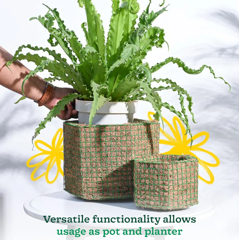 Hexa Coir Planter - Set of 2