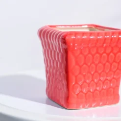 Honeycomb Ceramic Pot (4 Inch Width)