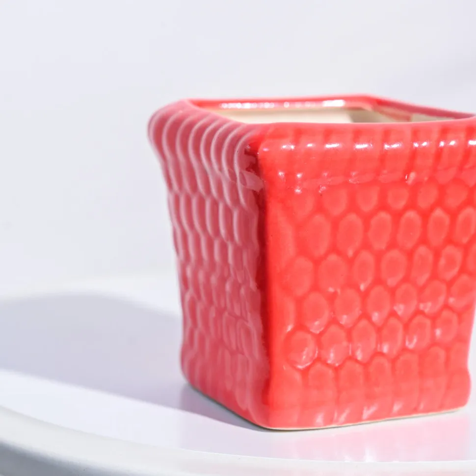 Honeycomb Ceramic Pot (4 Inch Width)