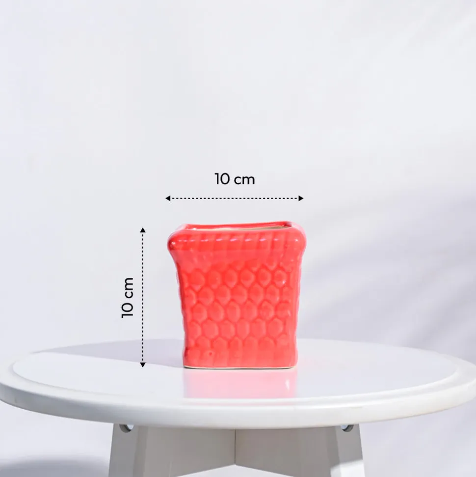Honeycomb Ceramic Pot (4 Inch Width)