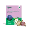 Hyacinth Blue Jacket Bulbs