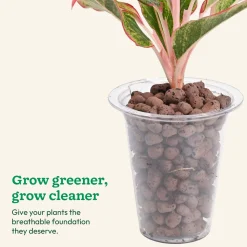 Hydrostone LECA Balls - 6 Litre