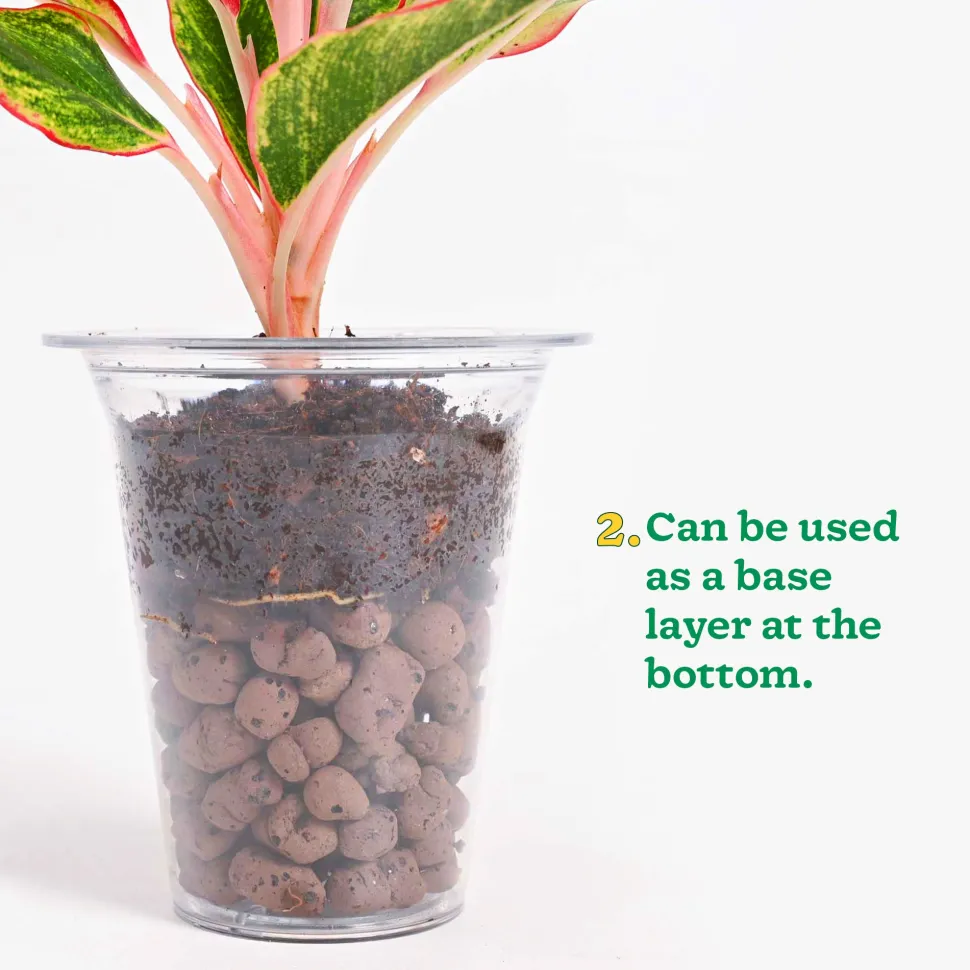 Hydrostone LECA Balls - 6 Litre