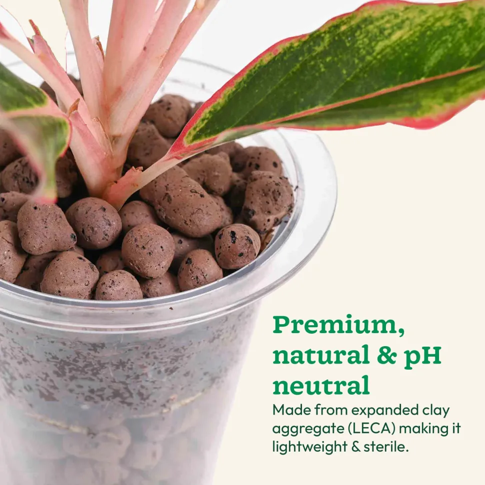Hydrostone LECA Balls - 6 Litre