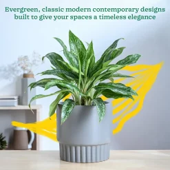 Immortal Nights Ceramic Planter