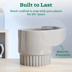 Immortal Nights Ceramic Planter
