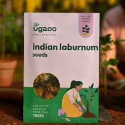 Indian Laburnum Seeds (Cassia Fistula) - 100 g