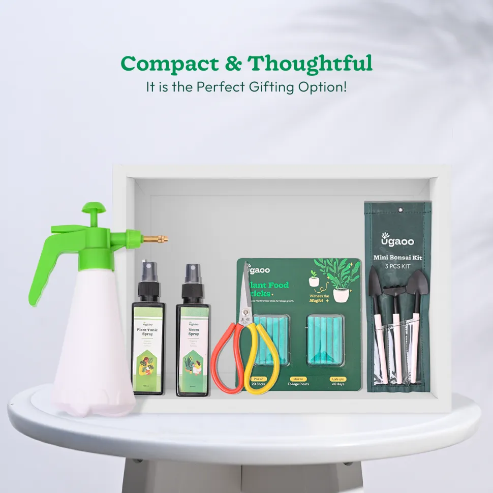 Indoor Gardening Kit