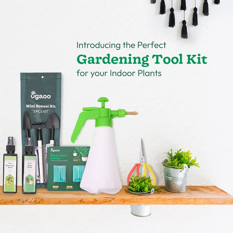 Indoor Gardening Kit