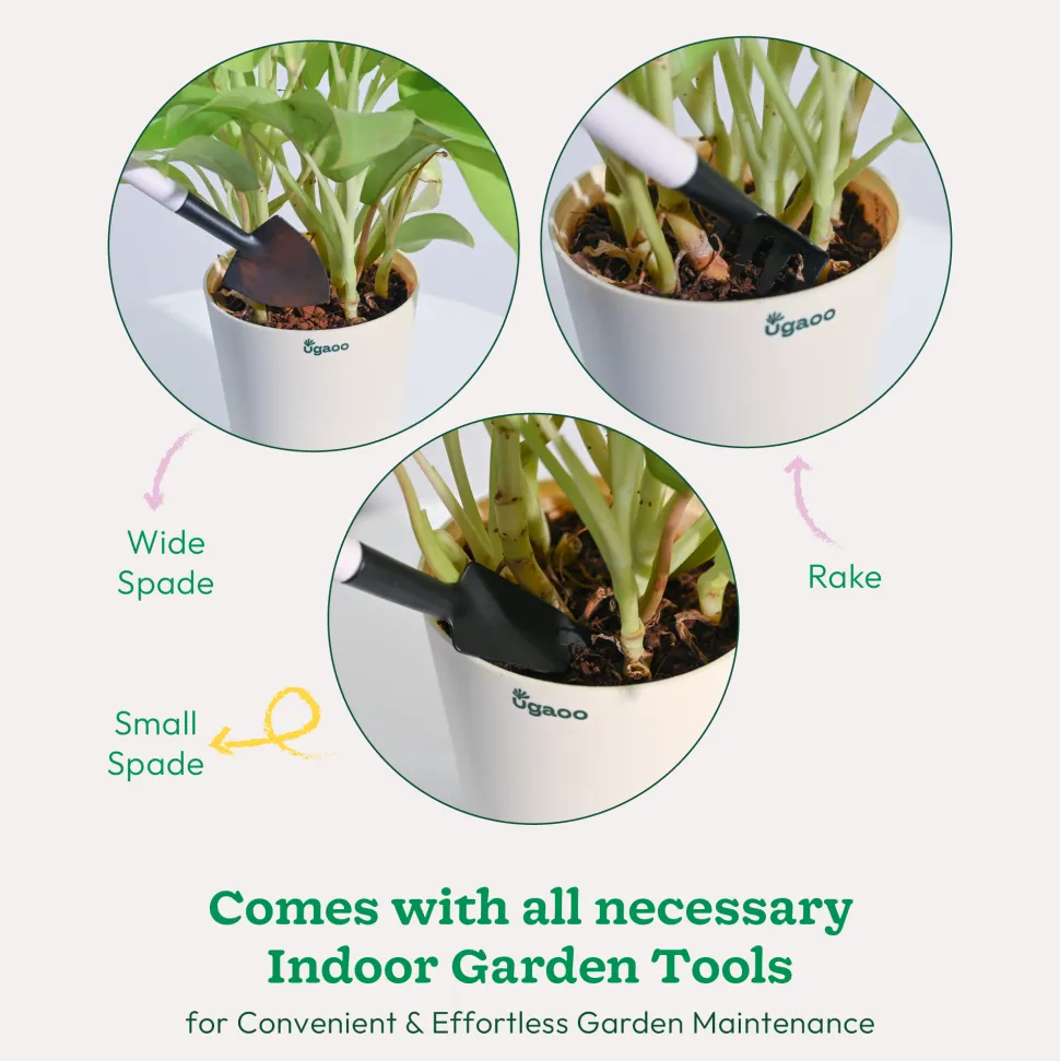 Indoor Gardening Kit