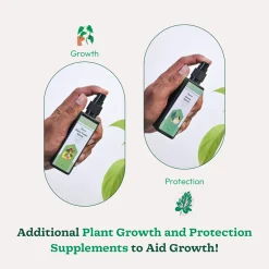 Indoor Gardening Kit