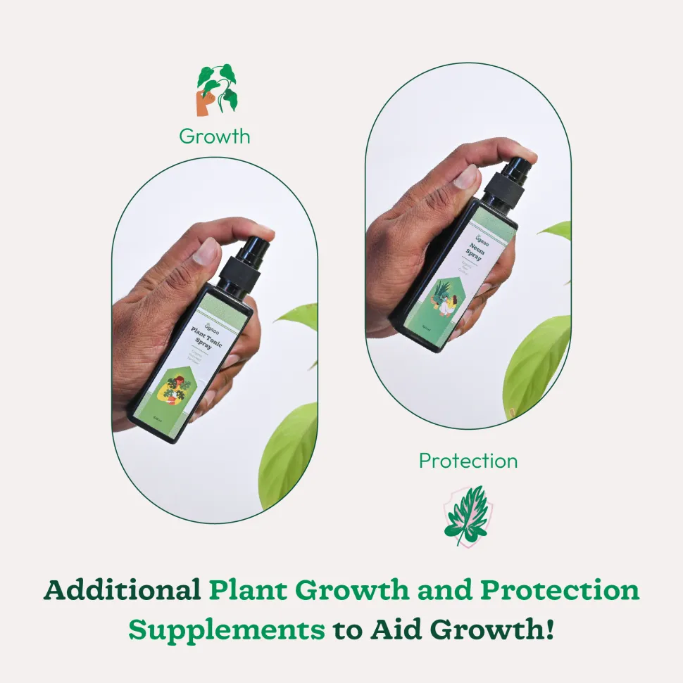 Indoor Gardening Kit