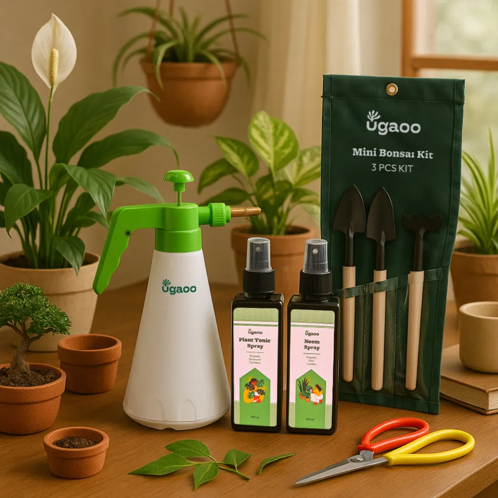 Indoor Gardening Kit