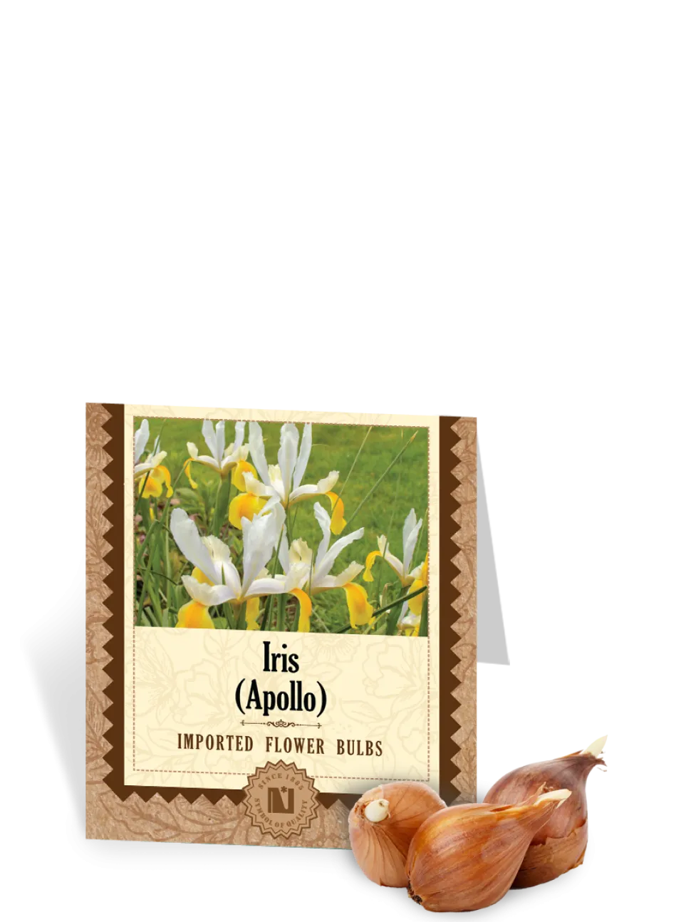 Iris Apollo Bulbs