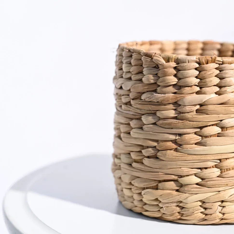Kauna Grass Planter