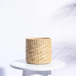 Kauna Grass Planter