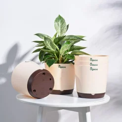 Krish Self Watering Planter - Set of 5