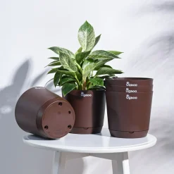 Krish Self Watering Planter - Set of 5