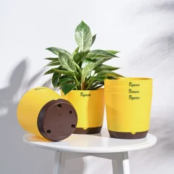 Krish Self Watering Planter - Set of 5