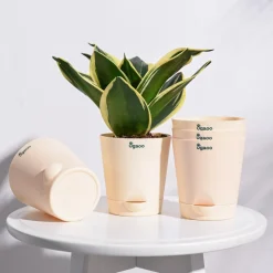 Krish Self Watering Planter - Set of 5