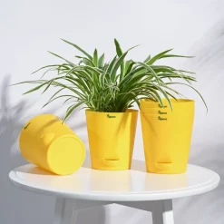 Krish Self Watering Planter - Set of 5