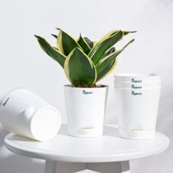 Krish Self Watering Planter - Set of 5