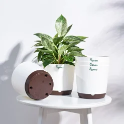 Krish Self Watering Planter - Set of 5