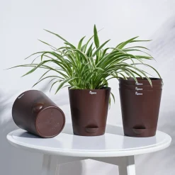 Krish Self Watering Planter - Set of 5