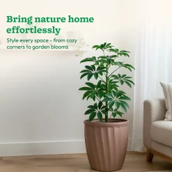 Kyiv Planter - Set of 3