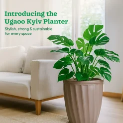 Kyiv Planter - Set of 3