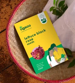 Lettuce Black Rose Seeds