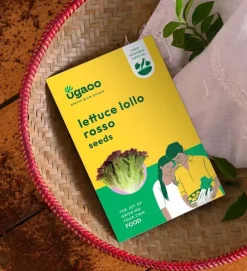 Lettuce Lollo Rosso Seeds