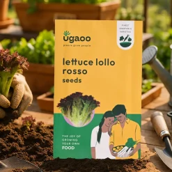 Lettuce Lollo Rosso Seeds