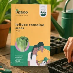 Lettuce Romaine Seeds (Long)
