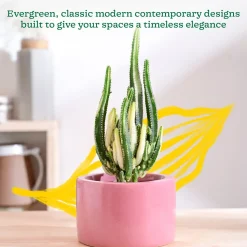 Lilac Stories Bowl Ceramic Planter