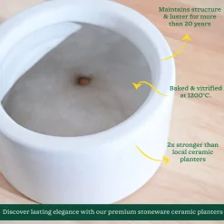 Lilac Stories Bowl Ceramic Planter