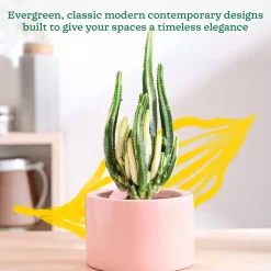 Lilac Stories Bowl Ceramic Planter