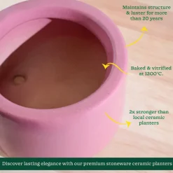 Lilac Stories Bowl Ceramic Planter