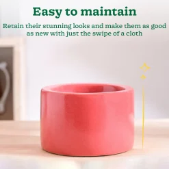 Lilac Stories Bowl Ceramic Planter