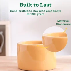 Lilac Stories Bowl Ceramic Planter