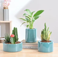 Lilac Stories Bundle - Aqua Green