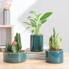 Lilac Stories Bundle - Dark green