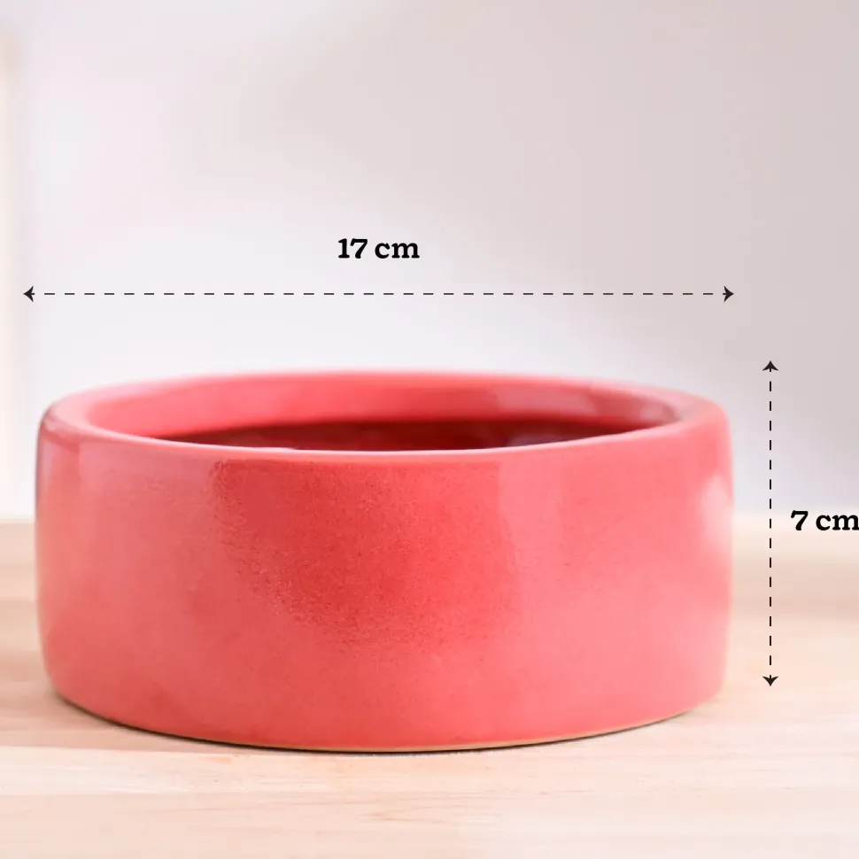 Lilac Stories Bundle - Light Red