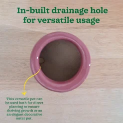 Lilac Stories Extra small Ceramic Planter