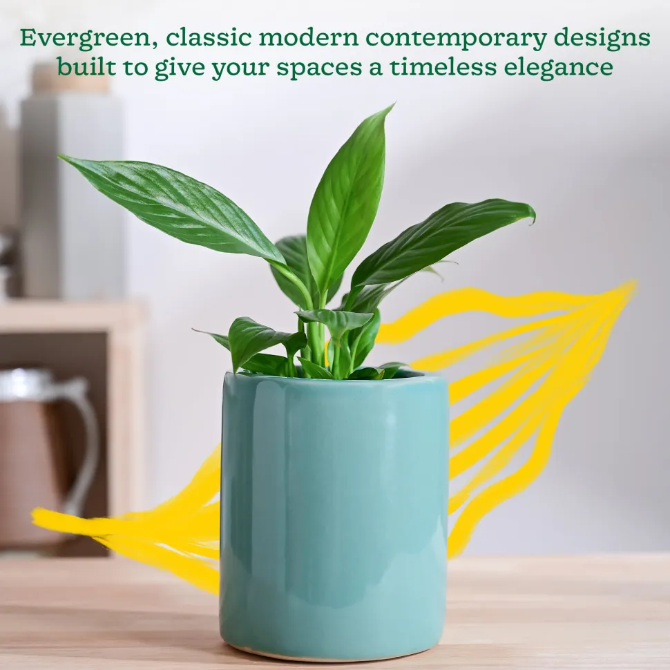 Lilac Stories Extra small Ceramic Planter
