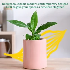 Lilac Stories Extra small Ceramic Planter