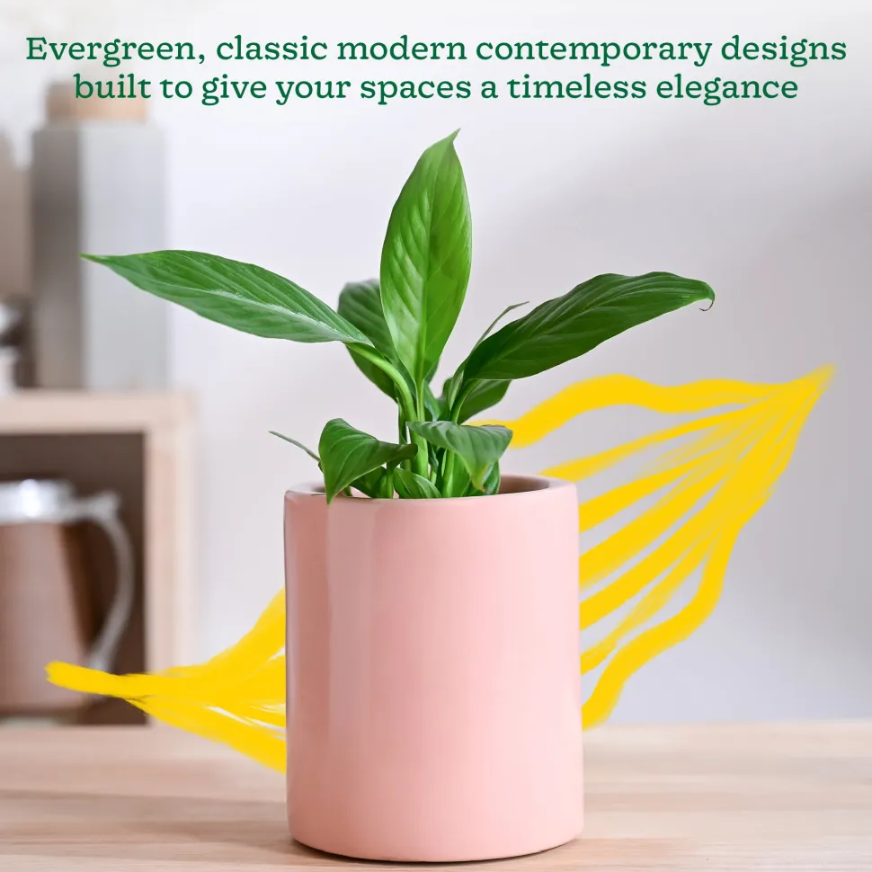 Lilac Stories Extra small Ceramic Planter